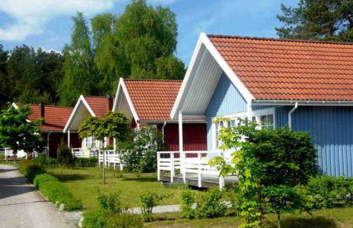 Moorfrosch - Photo 1