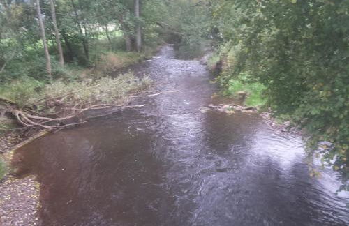 Ferienwohnung Müller - Foto 7