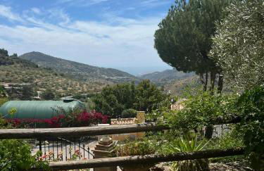 Los Olivos - Foto 17