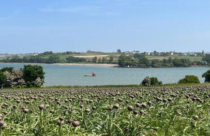 Maison Kersaliou, proche mer St Pol de Léon - Foto 49