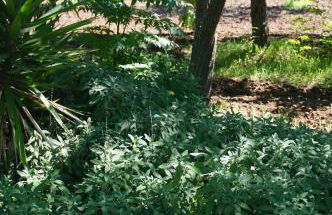 Casa Fondachello - Foto 26