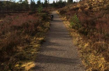 The Pines Self-catering cottage,Wester Ross, Scotland - Foto 21