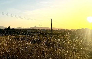 Refugio do Gato - Foto 14