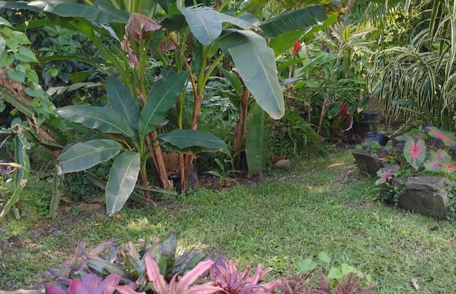 Binks appartments - Photo 29