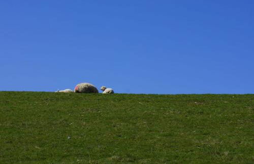 On the North Sea 4 - Foto 30