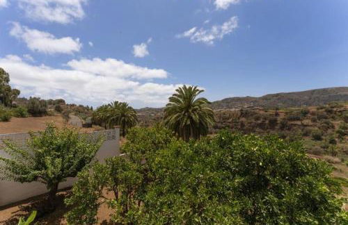 Finca Artiles - Foto 13