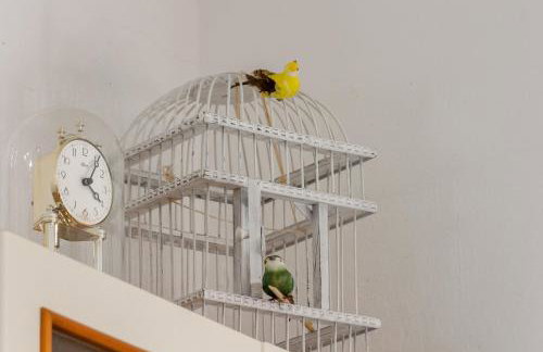 Renovated Old Stone House - Foto 21