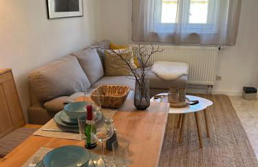 FeWo Ostrau, neues Bad, neue Küche, zentral, Sandstein-Ferien, Terrasse - Foto 27