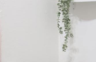 Studio avec parking privé à 8 min du tram - Foto 12