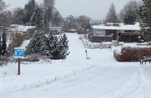 Wald- und Seeblick Camp Zislow - Foto 11