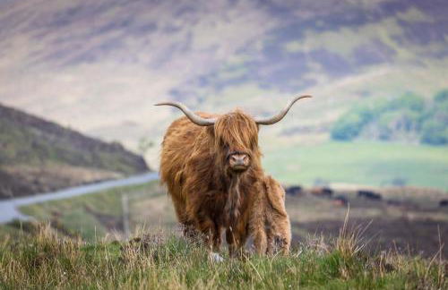 Buttermere Cottage - Foto 57