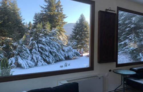 ECO VILLA OLYMPUS with sauna and swimming pool - Foto 45