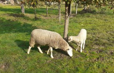 Quinta D' LuzArcoIris - Foto 57