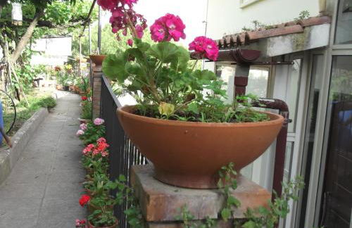 Le Mimose - Photo 59