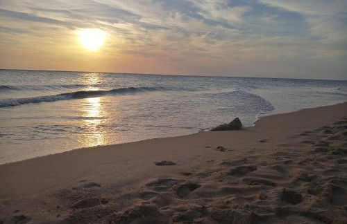 Enjoy Selecta Conil - Photo 32