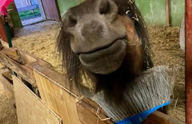 Knut's Nest - Foto 21