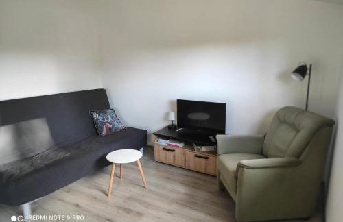 Rykowisko - domki całoroczne nad jeziorem i rzeką - Foto 28