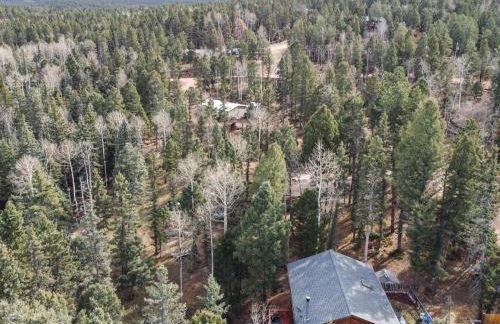 Deer-Friendly Cabin with Mountain Views and Fire Pit - Foto 13