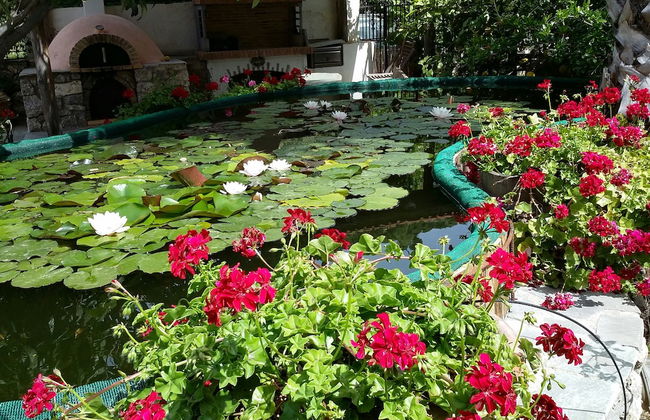 Exclusive Cottages are in S West Crete in a Quiet Olive Grove Near the sea - Photo 19