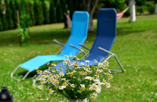 Studio Ivona - Foto 12