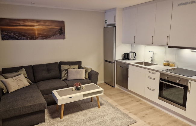 Haugetuft Apartments - Photo 74