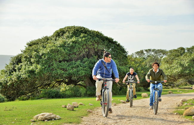 De Hoop Equipped Cottages - Foto 9