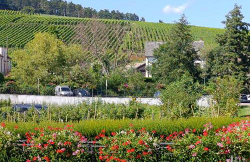 Le Nid Douillet de Bergheim - Foto 19