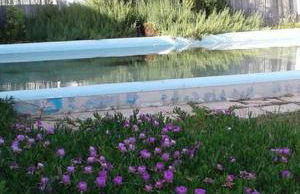 Rosi Sweet Home - Foto 7