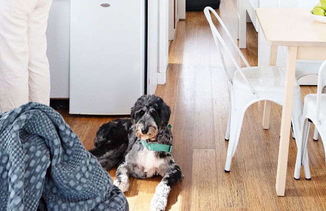 The Black Dolphin Holiday Park - Photo 34