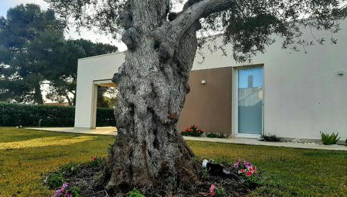 Il Giardino dei Coralli - Foto 2