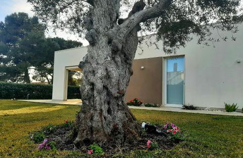 Il Giardino dei Coralli - Foto 2