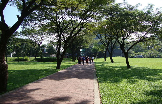 Spring Light Home - Foto 30