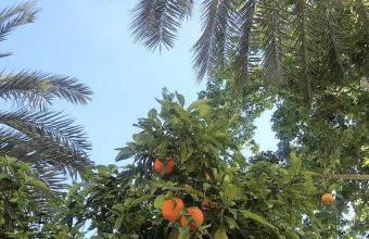 Stylish apartment near Old town & Turia park - Foto 18