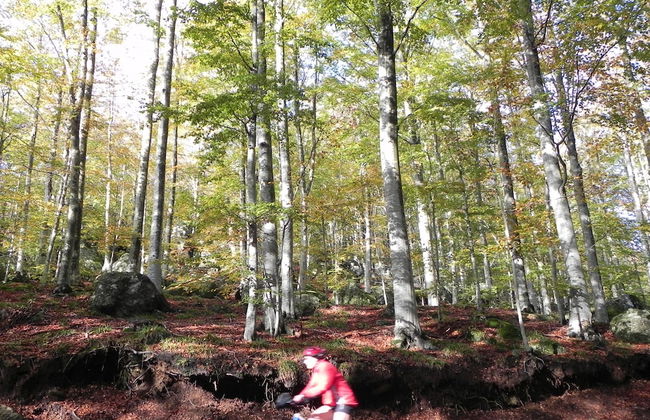 Chalet Il Cristallo - Photo 23