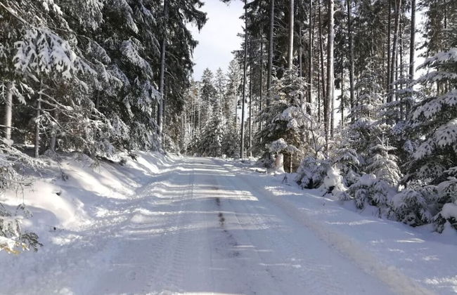 Holiday Apartment Abendgrund - Photo 11