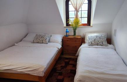 Dom nad jeziorem Zbiczno Siedlisko - Foto 26