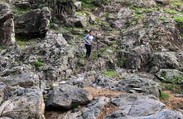 Casa Rural Los Menestrales - Foto 37