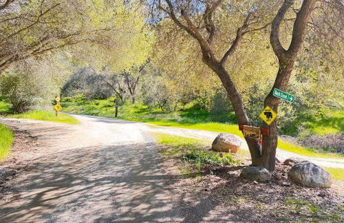 Bear Hollow by Sequoia National Park - Foto 46