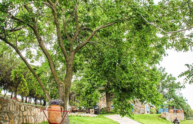 Ataol Tatil Ciftligi - Foto 28