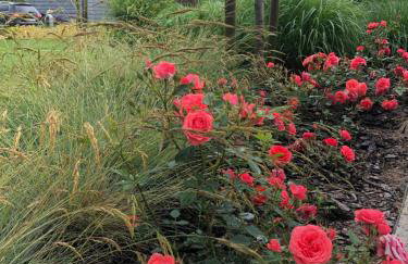 WILLA MAGNOLIA - Apartamenty i Pokoje SPRZĘT DO POŁAWIANIA BURSZTYNU -wodery, podbieraki, latarki UV - POKÓJ ZABAW- ROWERY - KAWA Z EKSPRESU - Foto 55