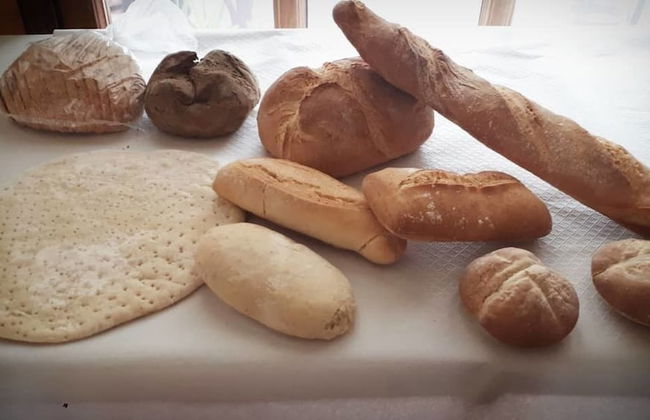 El Molino de Rosa Maria Serrano - Photo 8