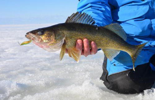 Tranquility Point in Lac du Flambeau WI - Photo 6