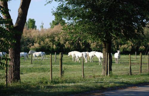 VILLA TASSO 25 BILO - Foto 83