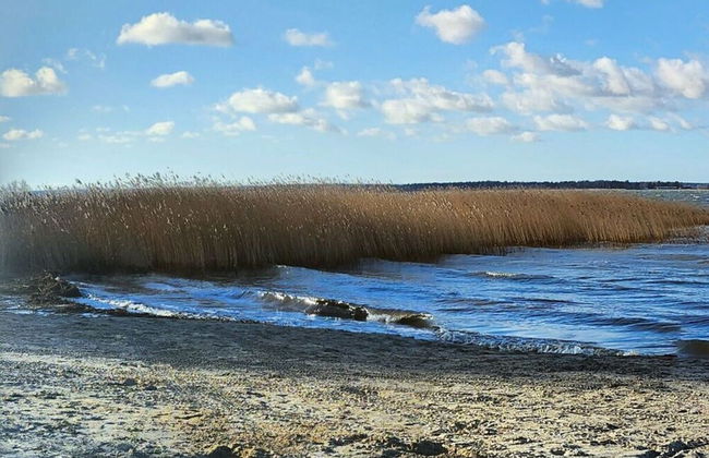 Seeschwalbe Modern Retreat - Foto 29