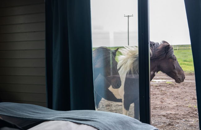 Sleeping with the Horses - Foto 4