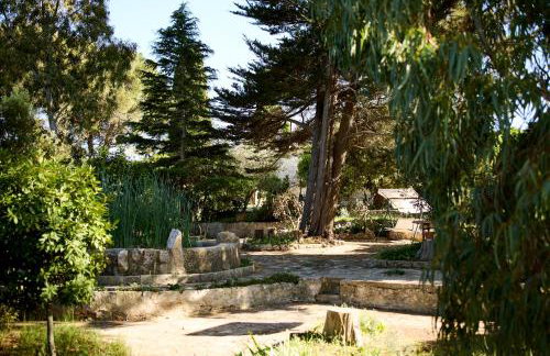 Agriturismo Teatro del grano - Foto 22