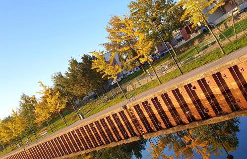 Ferienwohnung Goitzschezeit - Foto 18