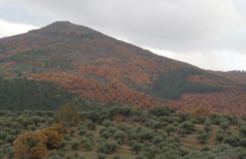 MIRADOR DE LAS VILLUERCAS - Photo 7