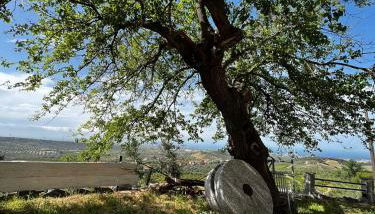 Casa Maria Host Green - Casa vacanze - Rossano - Foto 5