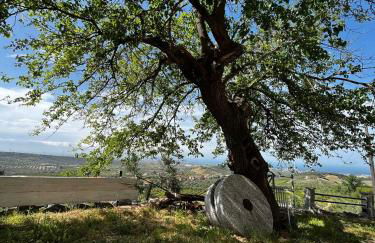 Casa Maria Host Green - Casa vacanze - Rossano - Foto 5